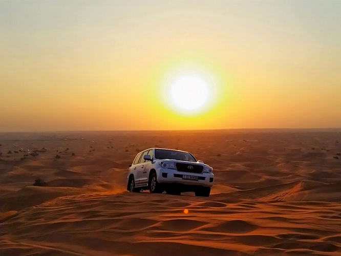 Check out the top eight Dubai safaris in the desert