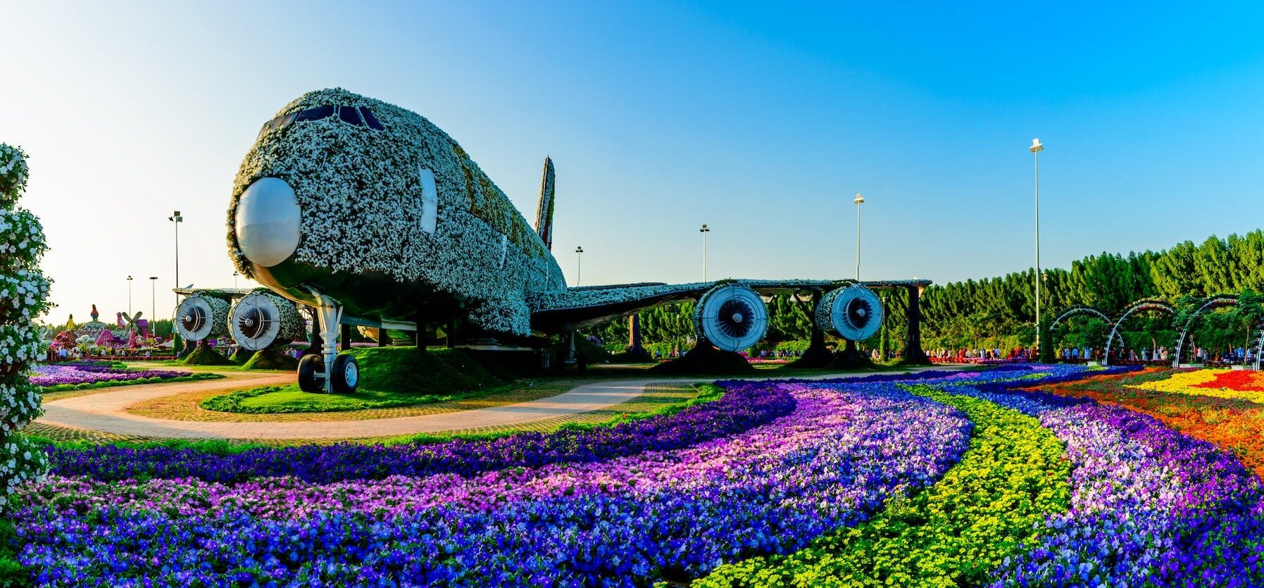 Photo Credit : https://marco.ae/miracle-garden-dubai-a-floral-paradise/